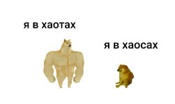 IMG_20250512_230619_794.jpg