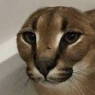 Vantyz