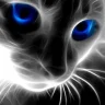 Alexey696