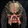 Predator